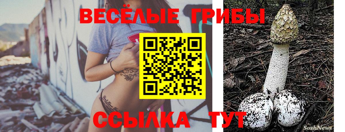 Рославль  где найти   Вход с VPN  Галлюциногенные грибы прущие грибы  Галлюциногенные грибы мицелий 